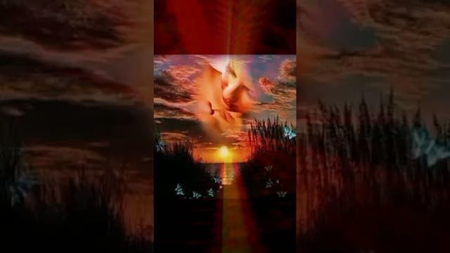 тишины тишины хочу смотреть онлайн