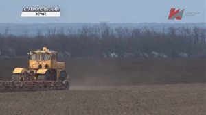 Красная линия о посевной в Колхозе Терновский