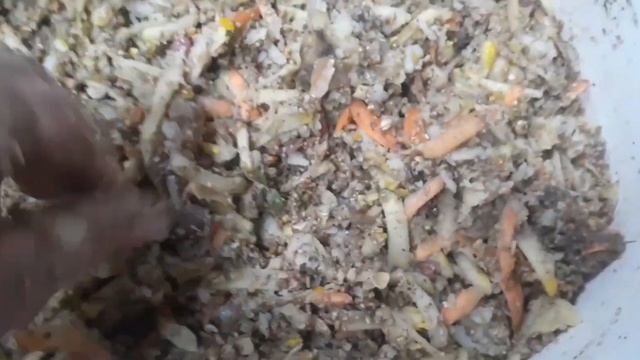 Каша с овощами для кур несушек//полезная добавка в зимнее время... смотреть онлайн
