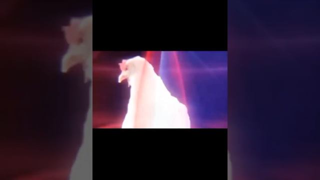 Chicken ? song Part -2 | Murgi Dance short video 2022 смотреть онлайн