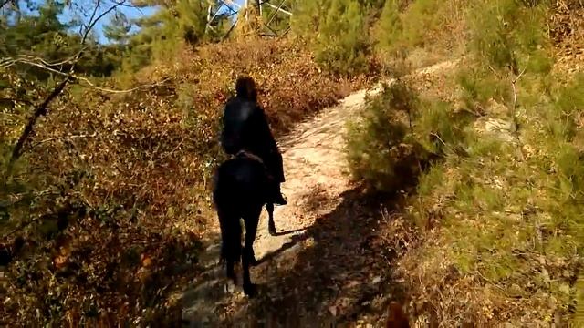 Конная прогулка (Геленджик): скала Парус - гора Святой Нины смотреть онлайн