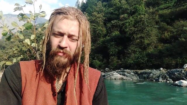 Держи Корни в чистоте! Чистое питание для Тела и Ума/Древо Жизни - Тело. смотреть онлайн