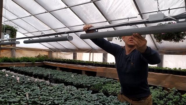 Фитосвет в зимний период. Зачем нужна досветка растениям. Фитолампы. смотреть онлайн