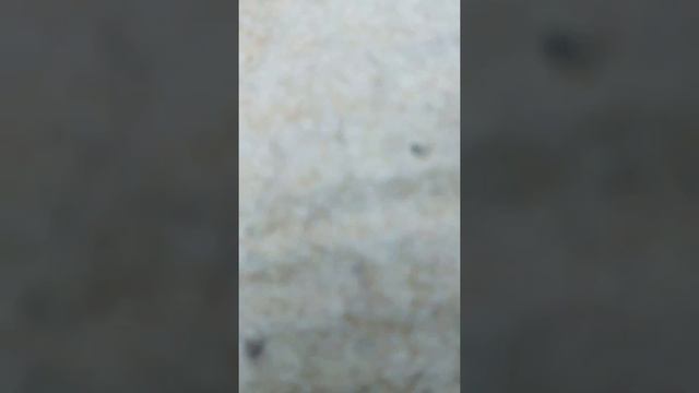 Как сделать из картона щит смотреть онлайн