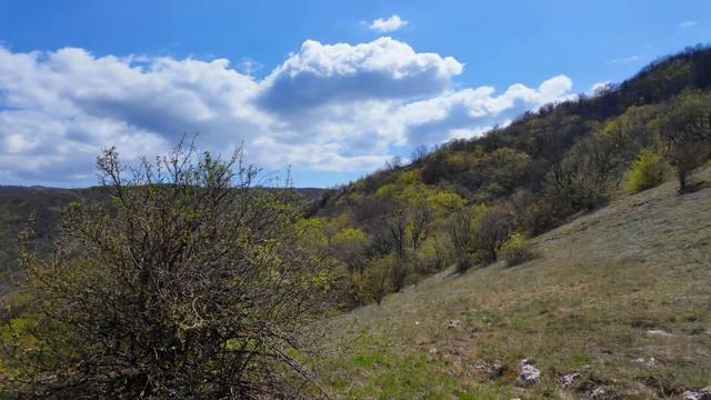 Прогулка в горы смотреть онлайн
