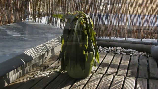 Canon PowerShot SX210 IS: Test / Review (Deutsch) смотреть онлайн