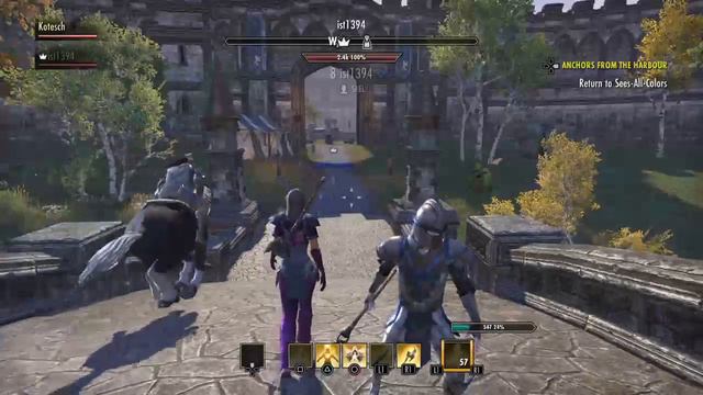 Качаем паладина Teso