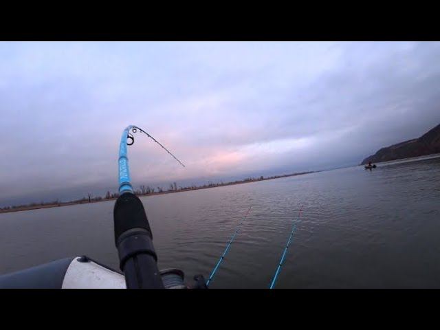 ЗАБРОСИЛ В ЯМУ ЗАКИДУШКИ И ПОНЕСЛОСЬ! РАБАЛКА НА ЗАКИДУШКИ смотреть онлайн