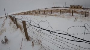 Охота на зайца русака в степях Оренбуржья. Ягдтерьер #охота