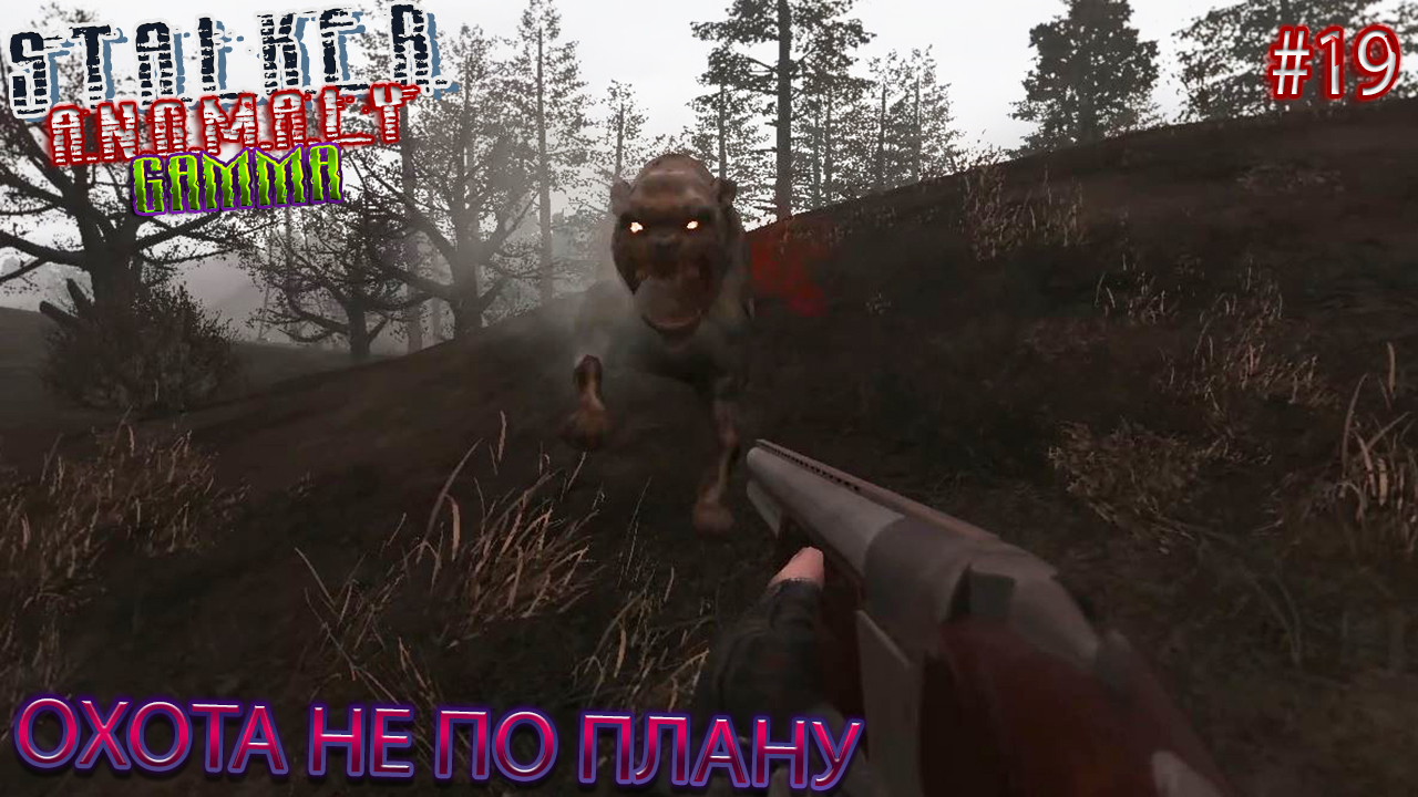 ОХОТА НЕ ПО ПЛАНУ | STALKER ANOMALY GAMMA | Серия 19