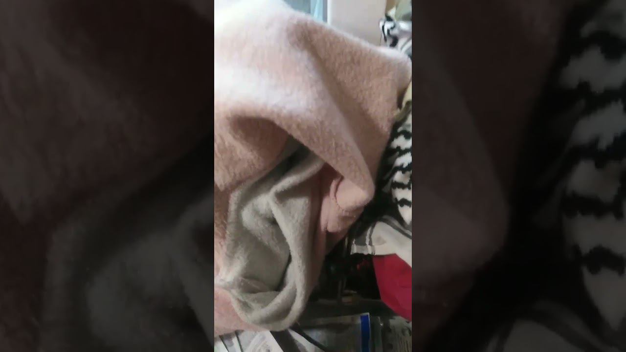 Теплолюбивая Лялечка