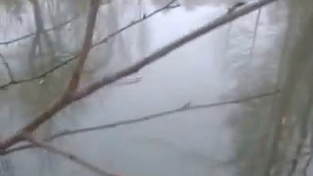 Bóbr podjadek смотреть онлайн