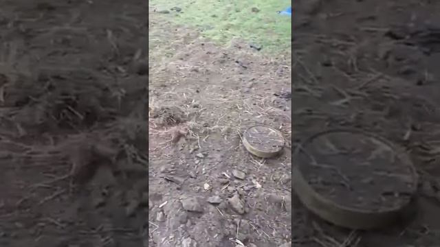 Минная поля Украина 🇺🇦 люди взорванные 😨части тела разлетелись по сторонам смотреть онлайн
