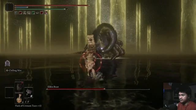 Elden Beast NG+, Cold Giant Crusher, No Spirit - Elden Ring смотреть онлайн