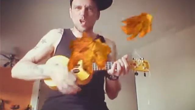 King of bongo смотреть онлайн