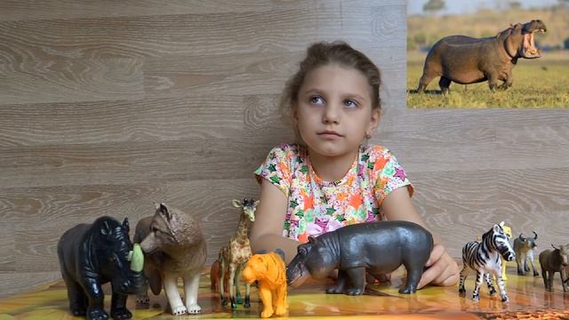 изучаем диких животных с детьми. Бегемот смотреть онлайн