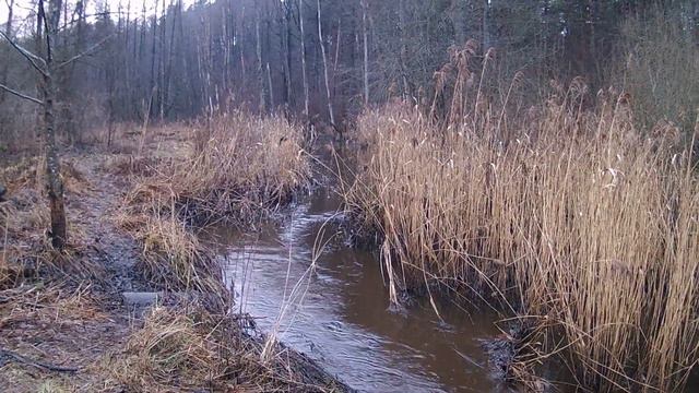 Звуки природы -Ручей. ASMR sounds of nature -stream смотреть онлайн