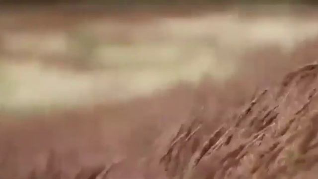 Когда потерял свою жену на канале смотреть онлайн