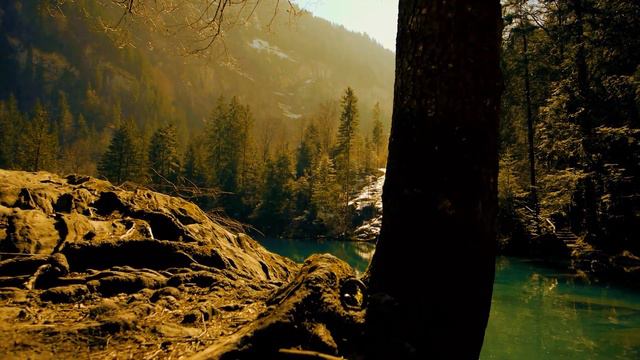 Beautiful Morning Meditation Music - Positive And Happy Awakening - Meditation Music For Energy