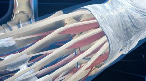 Мидокалм травматология