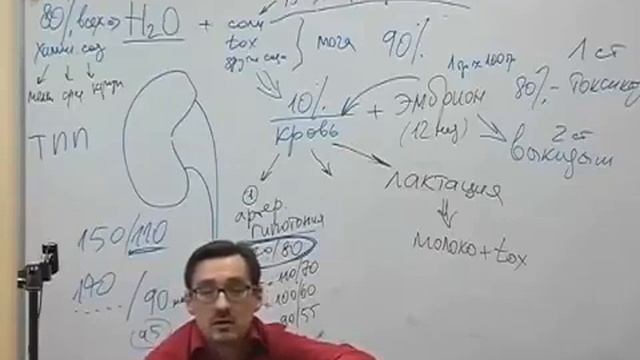 Токсикоз передаётся детям (10). Заболотный Константин Борисович. смотреть онлайн