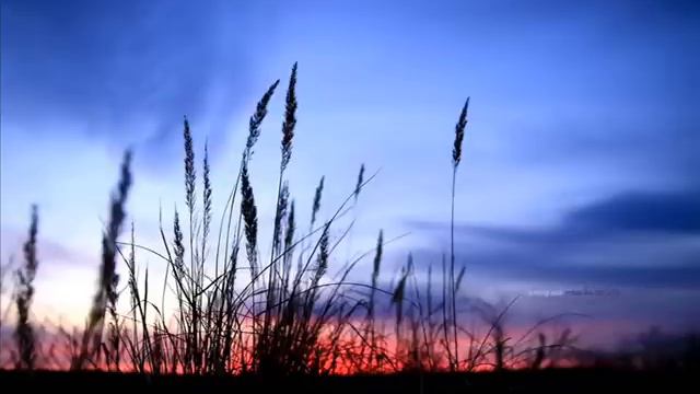 Dinka & George F. Zimmer - Soma is Language (Original Mix) смотреть онлайн