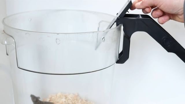 The HOONT Walk The Plank Mouse Trap - Mousetrap Monday смотреть онлайн