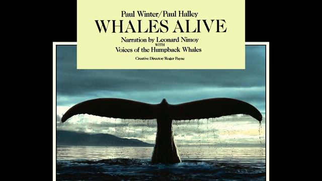 Paul Winter & Paul Halley - Ocean Dream смотреть онлайн