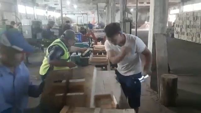 Цех по производству деревянных ящиков в селе Кара-Жыгач: Как проходит фумигация и маркировка? смотреть онлайн