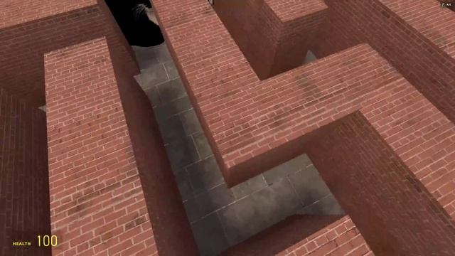 Try To Run Away From Maxwell Cat In Maze...