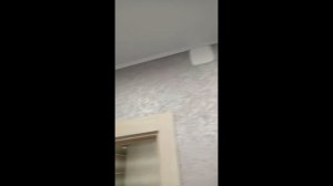 Декоративная штукатурка с эффектом «короед» и лессировкой перламутром.