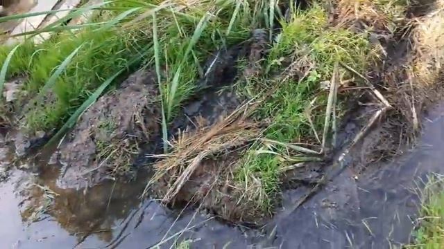 Испытание лебёдки для мотоблока смотреть онлайн