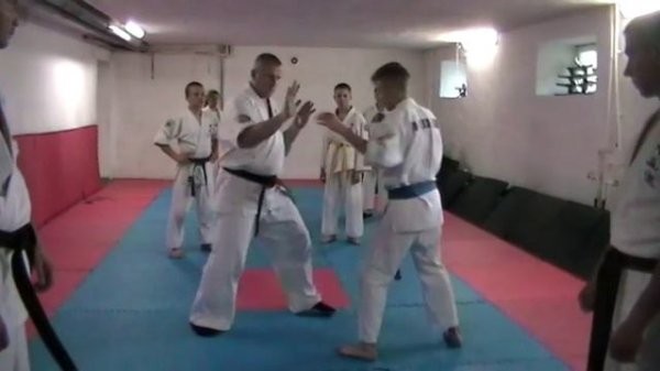 Джиу-джитсу (Ju-Jutsu). Часть 23