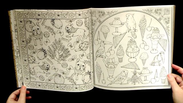 'Rapsody in the Forest' / Обзор раскраски-антистресс смотреть онлайн