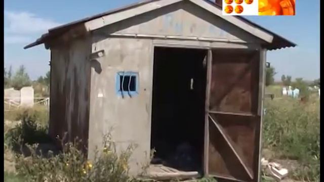 Могилу раскопал смотреть онлайн