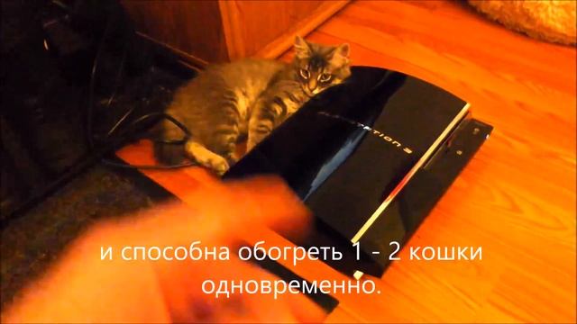 Прикольное видео. Наша кошка Мурка греется на Sony Playstation 3 PS3 смотреть онлайн