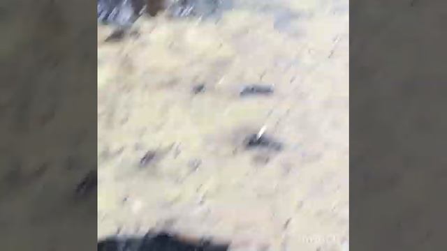 РЫБАЛКА В КБР!!!! Ловля голавля !!!! смотреть онлайн