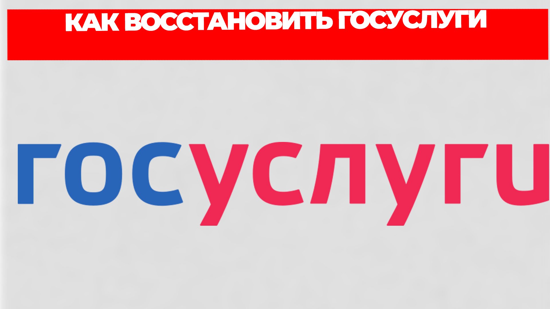 Всезнающий Енот