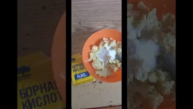 Как приготовить отраву для тараканов. смотреть онлайн