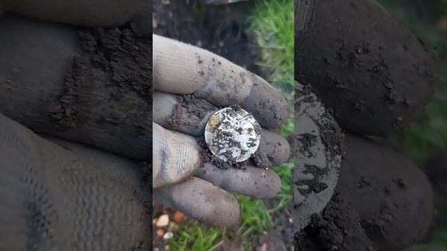 metal detecting смотреть онлайн