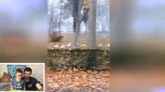 Смешные видео приколы | Подборка смешных видео про животными | Попробуйте не засмейтесь! смотреть онлайн