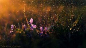 Пианино Звуки дождя и грома Расслабляющая музыка Relaxing Sleep Music