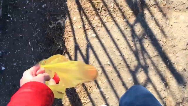 Каждый день по 1 секунде \\ Весна 2019 💕🥑 смотреть онлайн