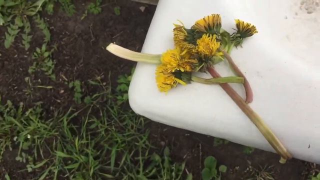 3 часть нашёл двойной одуванчик смотреть онлайн