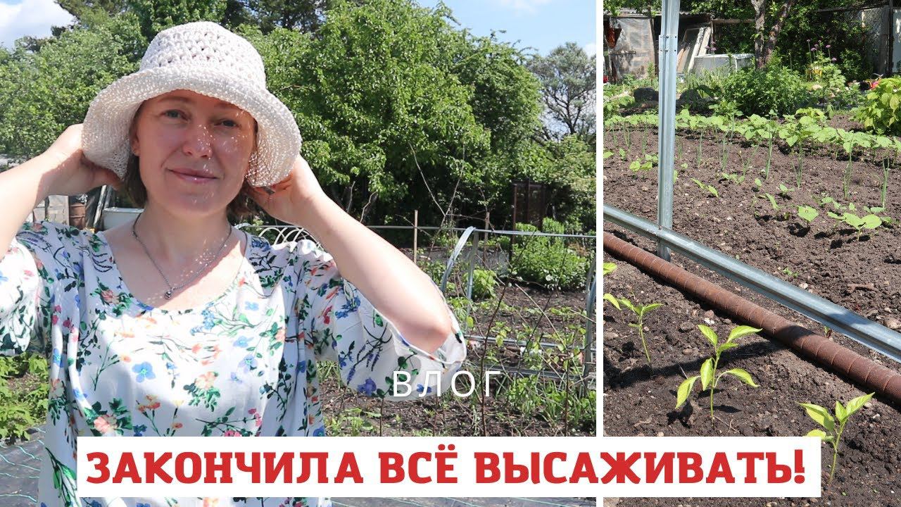 Атака улиток, высадка рассады, прополка... Всё как вы любите :) смотреть онлайн