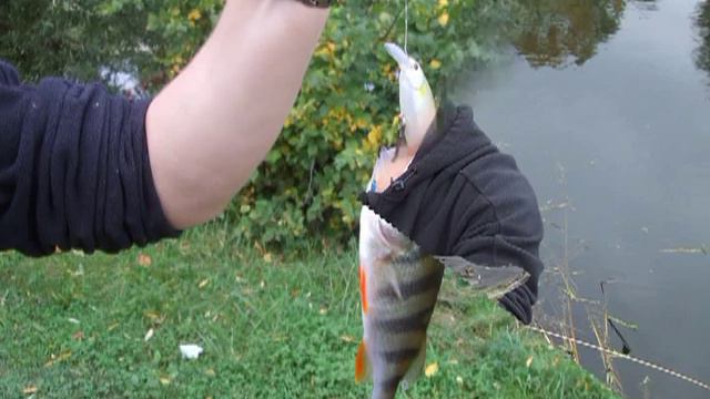 Щука на "обжорку" смотреть онлайн