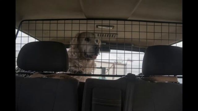 Окно раздвижной УАЗ Пикап заднее смотреть онлайн