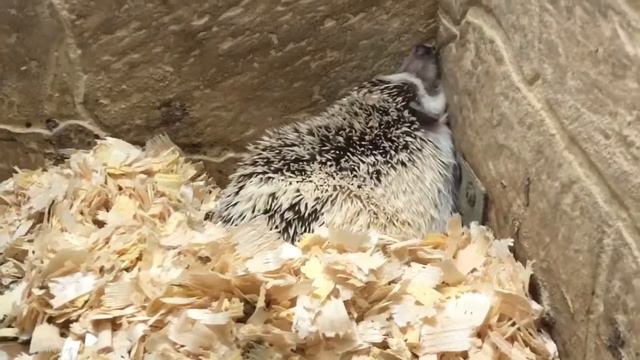 Поход с детьми в Океанариум. Краснодар смотреть онлайн