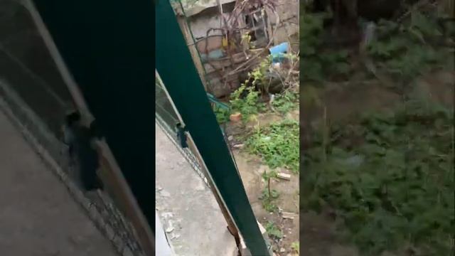 Не повторяй мои Ошибки при монтаже забора в бетонную ленту ! Полезно знать каждому мастеру смотреть онлайн