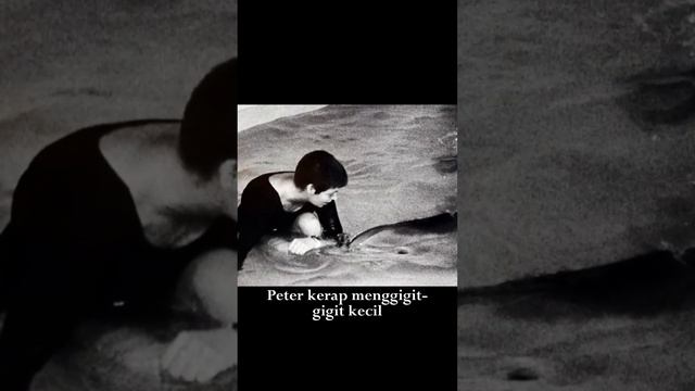 Peter The Dolphin смотреть онлайн